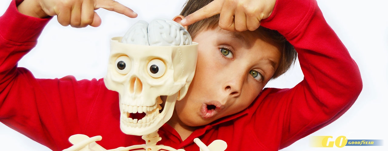 Niño con esqueleto museo