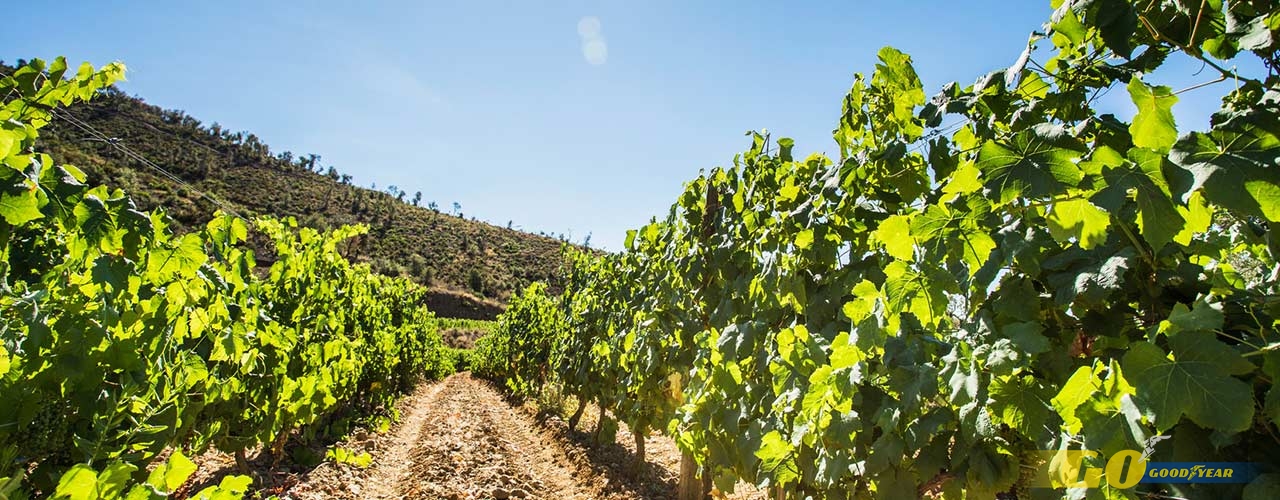 Agroturismo en La Rioja